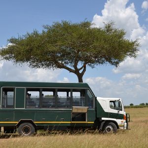 Hisa-Potovanj_Kenija-in-Tanzanija_138_Serengeti