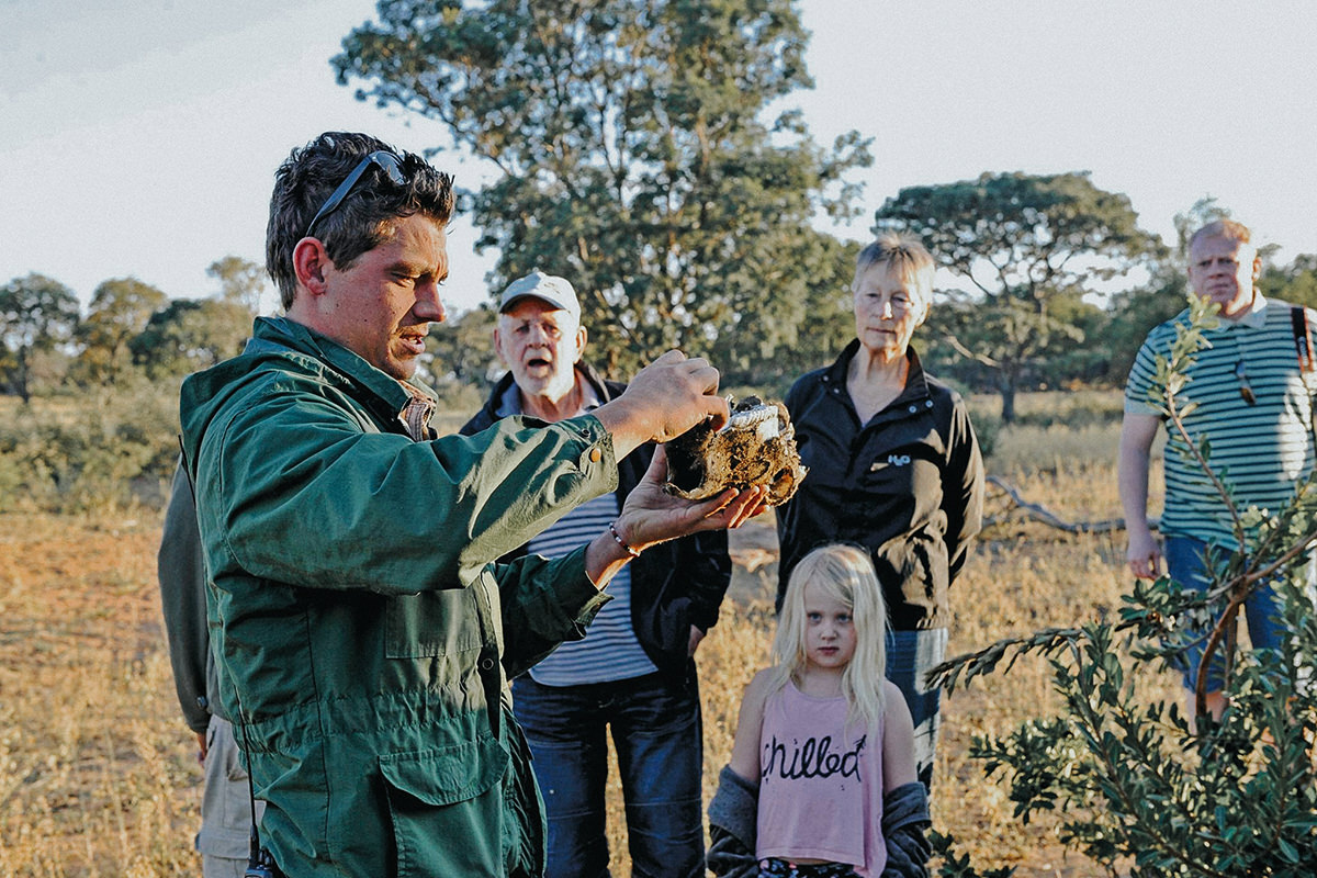 Hisa-potovanj_J_Afrika_skupina_39_safari